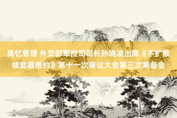 高忆管理 外交部军控司司长孙晓波出席《不扩散核武器条约》第十一次审议大会第三次筹备会