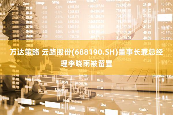万达策略 云路股份(688190.SH)董事长兼总经理李晓雨被留置